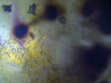 boya ile kimyasal deney