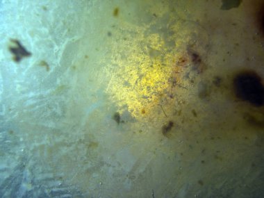 boya ile kimyasal deney