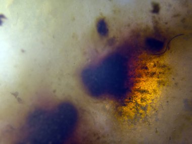 boya ile kimyasal deney