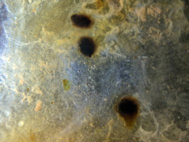 boya ile kimyasal deney