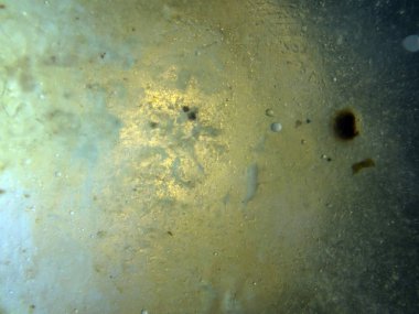 boya ile kimyasal deney