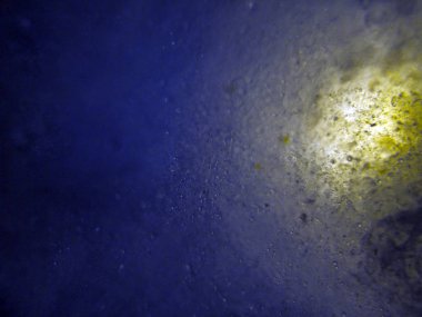 boya ile kimyasal deney