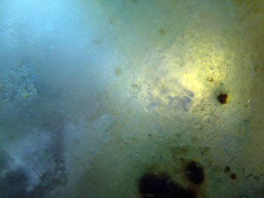 boya ile kimyasal deney