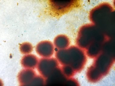 boya ile kimyasal deney