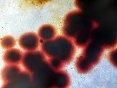 boya ile kimyasal deney