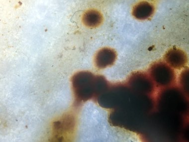 boya ile kimyasal deney