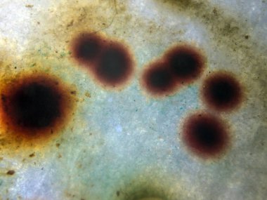 boya ile kimyasal deney