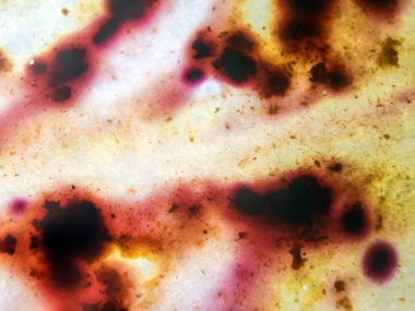 boya ile kimyasal deney