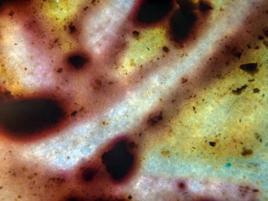 boya ile kimyasal deney