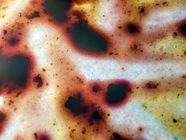 boya ile kimyasal deney