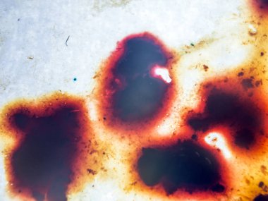 boya ile kimyasal deney