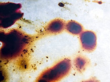 boya ile kimyasal deney