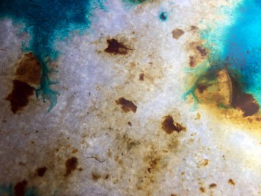 boya ile kimyasal deney