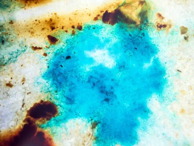 boya ile kimyasal deney