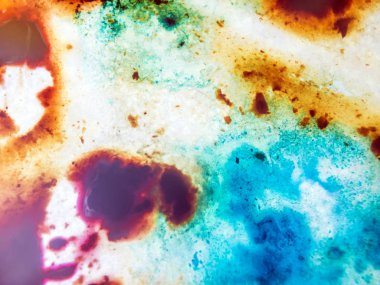 boya ile kimyasal deney