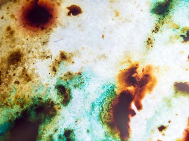 boya ile kimyasal deney