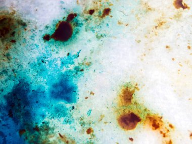 boya ile kimyasal deney