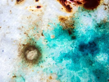 boya ile kimyasal deney