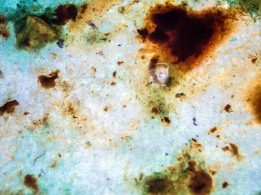 boya ile kimyasal deney