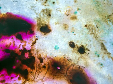 boya ile kimyasal deney