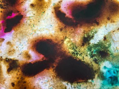 boya ile kimyasal deney