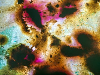 boya ile kimyasal deney