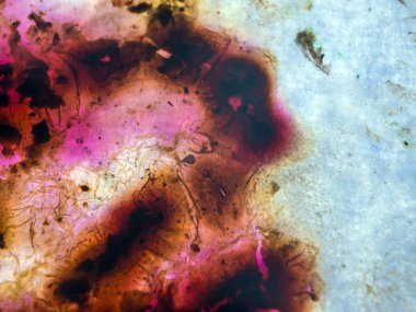 boya ile kimyasal deney