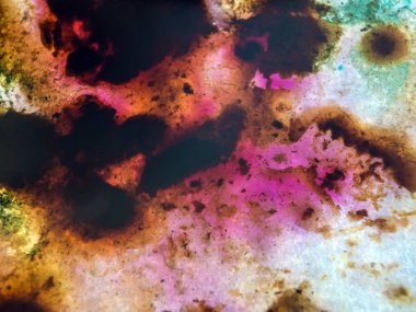 boya ile kimyasal deney