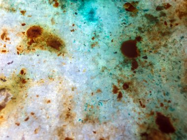 boya ile kimyasal deney