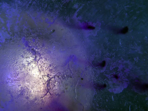 boya ile kimyasal deney