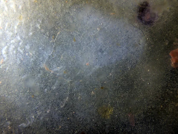 boya ile kimyasal deney