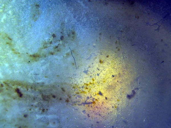 boya ile kimyasal deney