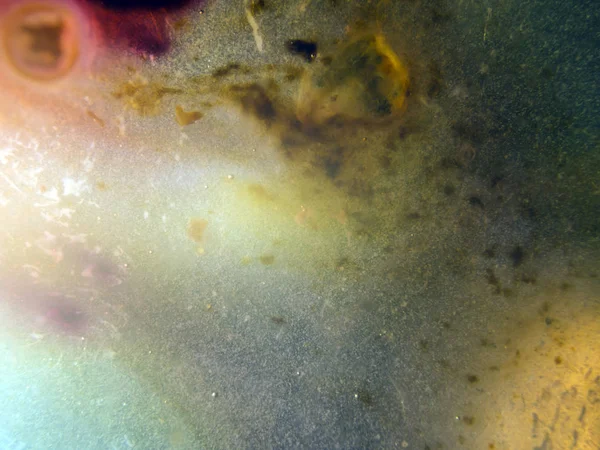 boya ile kimyasal deney