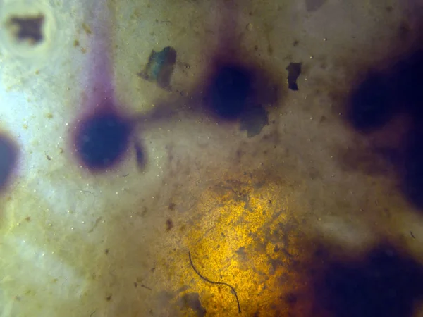 boya ile kimyasal deney