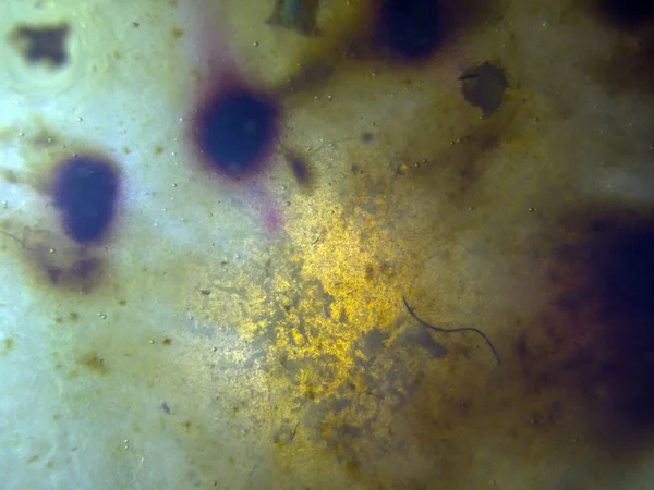 boya ile kimyasal deney