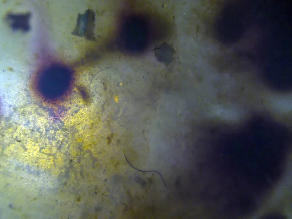 boya ile kimyasal deney