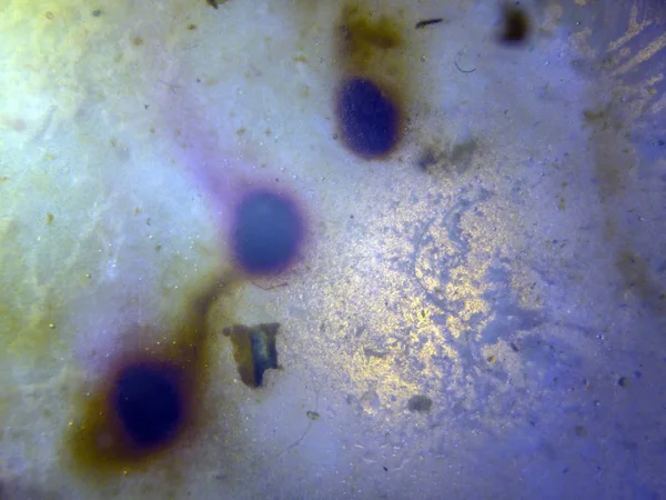 boya ile kimyasal deney