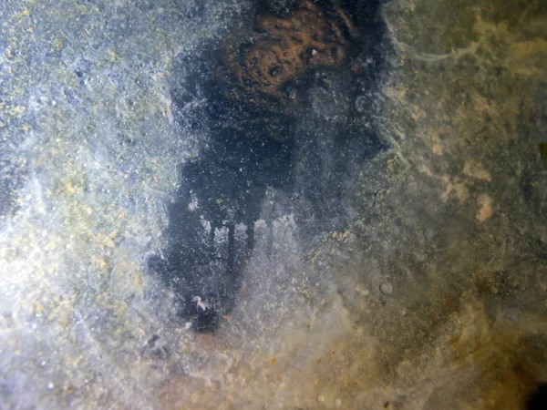 boya ile kimyasal deney