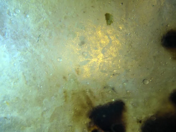 boya ile kimyasal deney