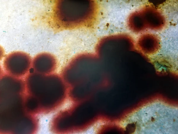 boya ile kimyasal deney