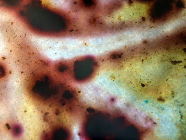 boya ile kimyasal deney