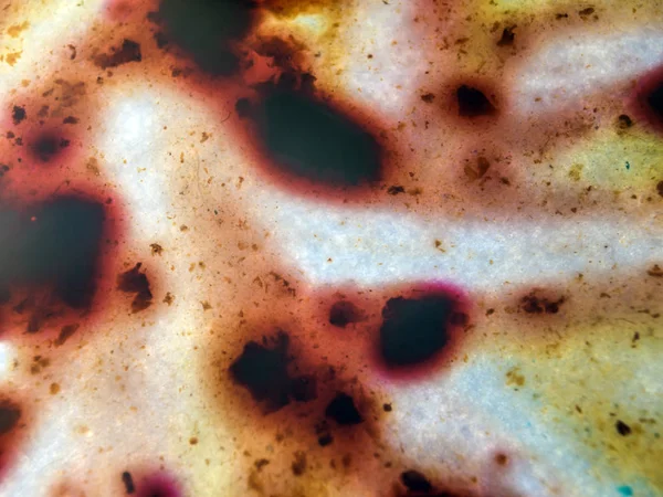 boya ile kimyasal deney