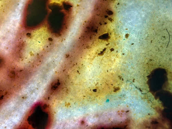 boya ile kimyasal deney