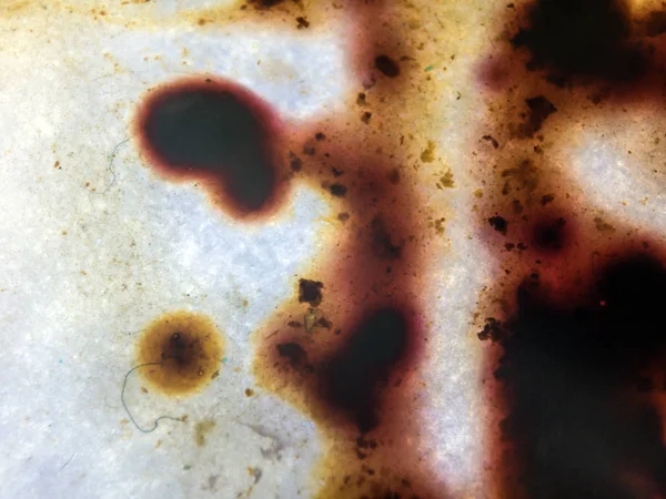 boya ile kimyasal deney