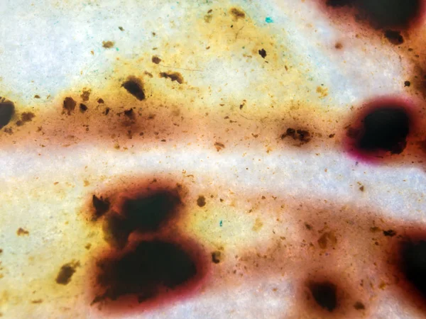 boya ile kimyasal deney