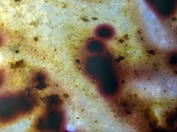 boya ile kimyasal deney