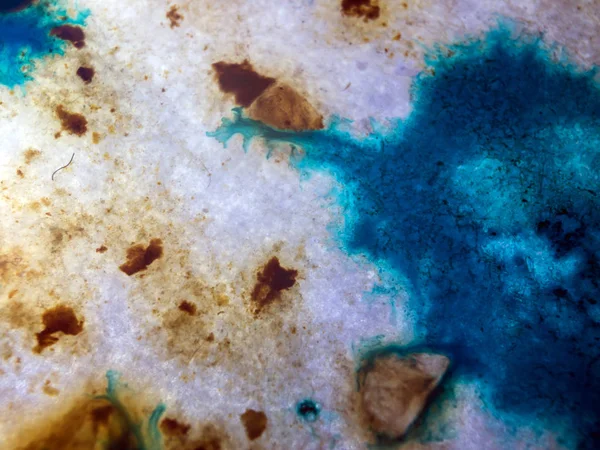 boya ile kimyasal deney