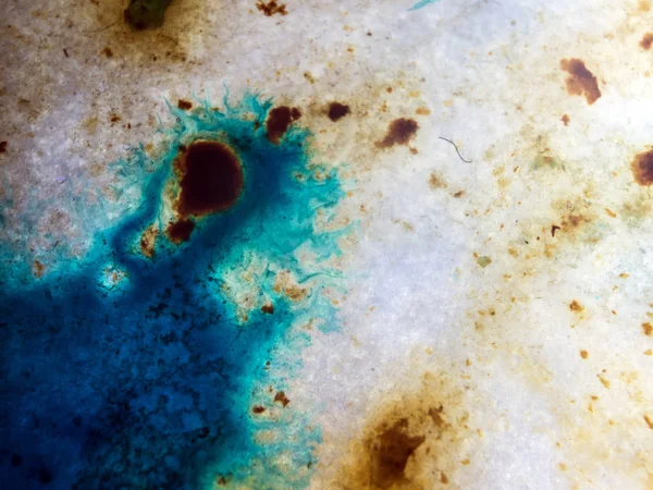 boya ile kimyasal deney