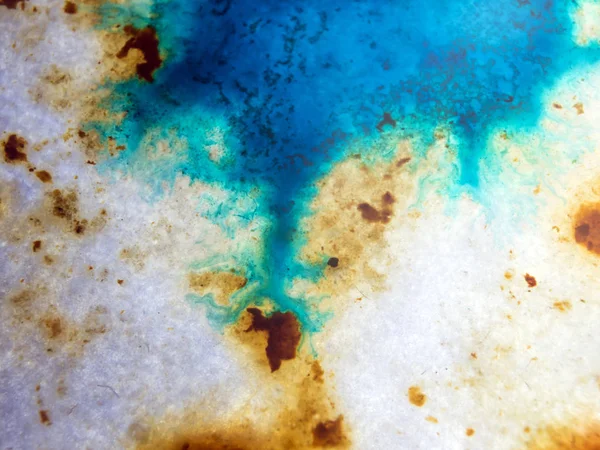 boya ile kimyasal deney