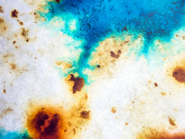 boya ile kimyasal deney